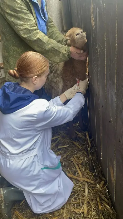 share-photo-11019643604