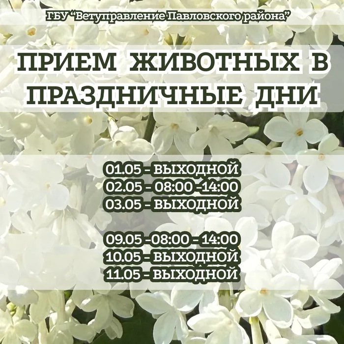 Instagram post - 295