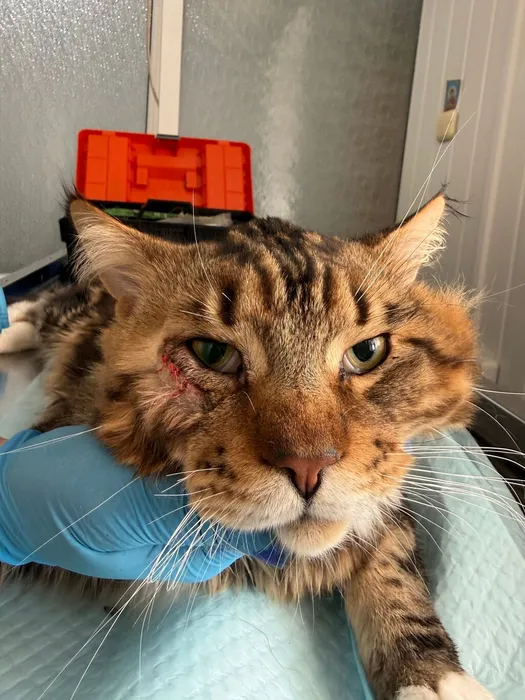 lzNCZhMCuFfho-SJ9dguaccUN8eyPx8Vpj9wYnsSFIr4kNJsru2z5BQp6aVKemgPrODIlb2L1GVadeoXoPLeWBa7