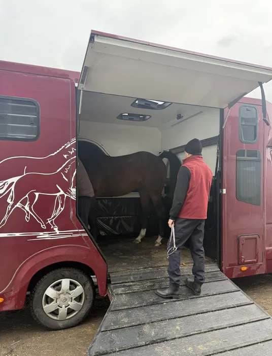 image-25-02-26-02-42