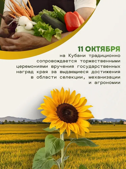 20ee1ba8-627b-45da-9c1d-b47b18c43769
