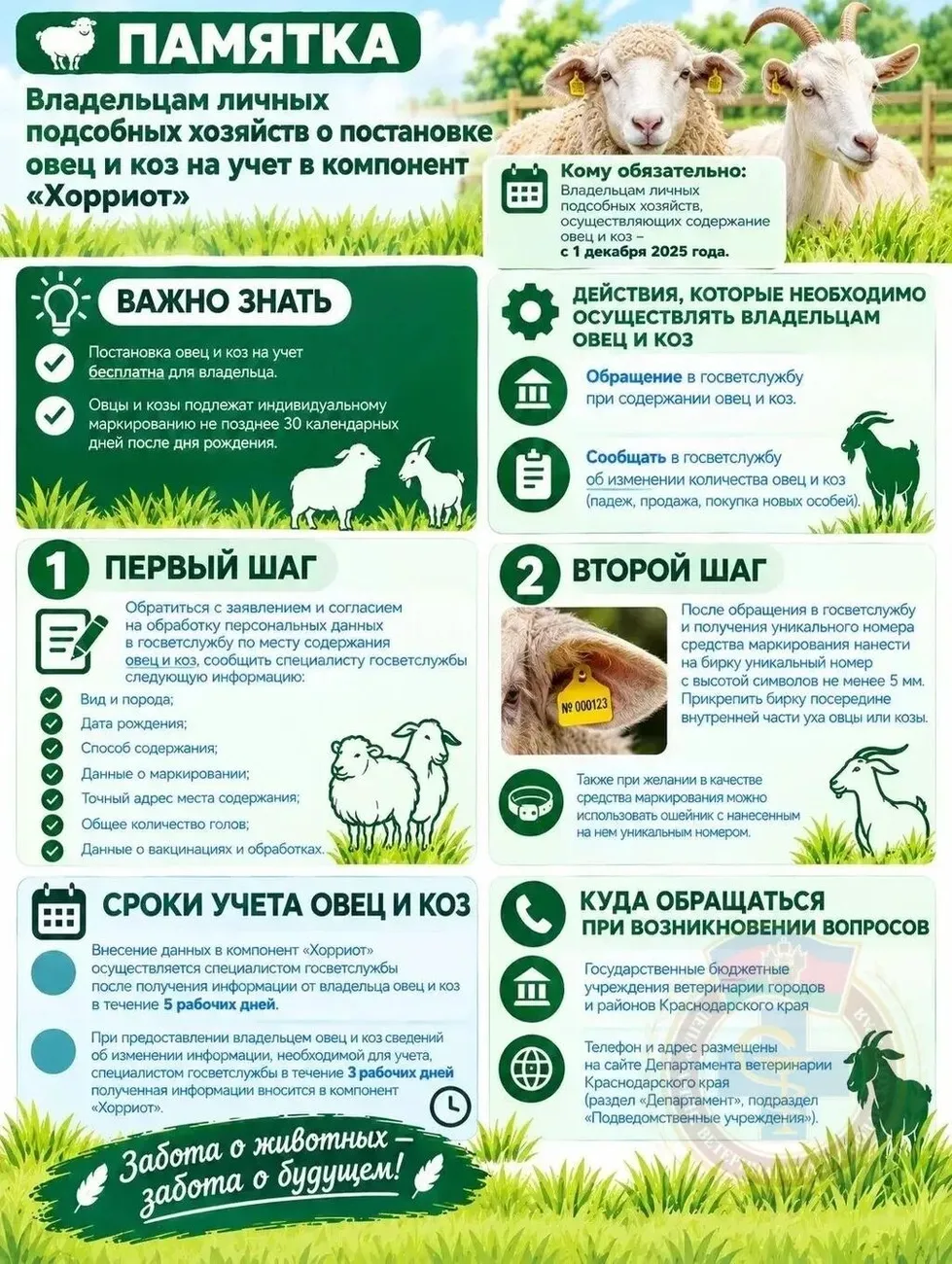 МРС