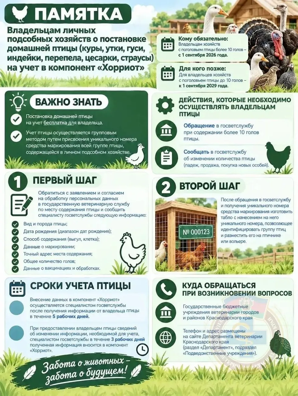 Птица