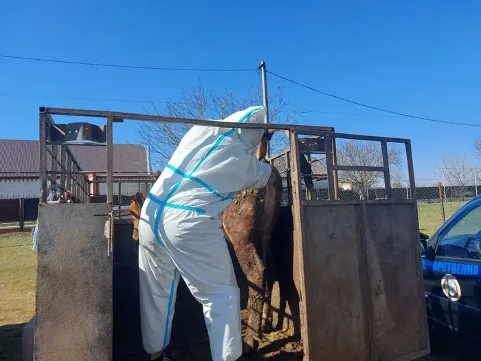 A5627971-FE3E-456A-9103-FAD659C9E753