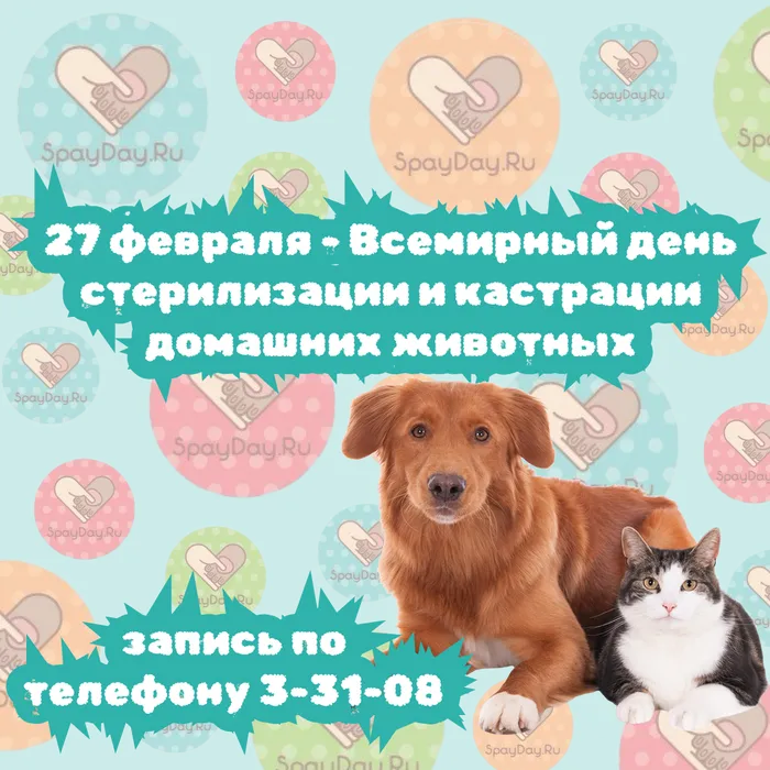 Instagram post - 170