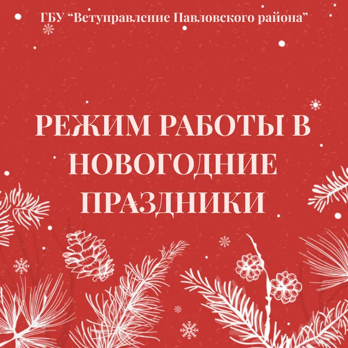 Instagram post - 306