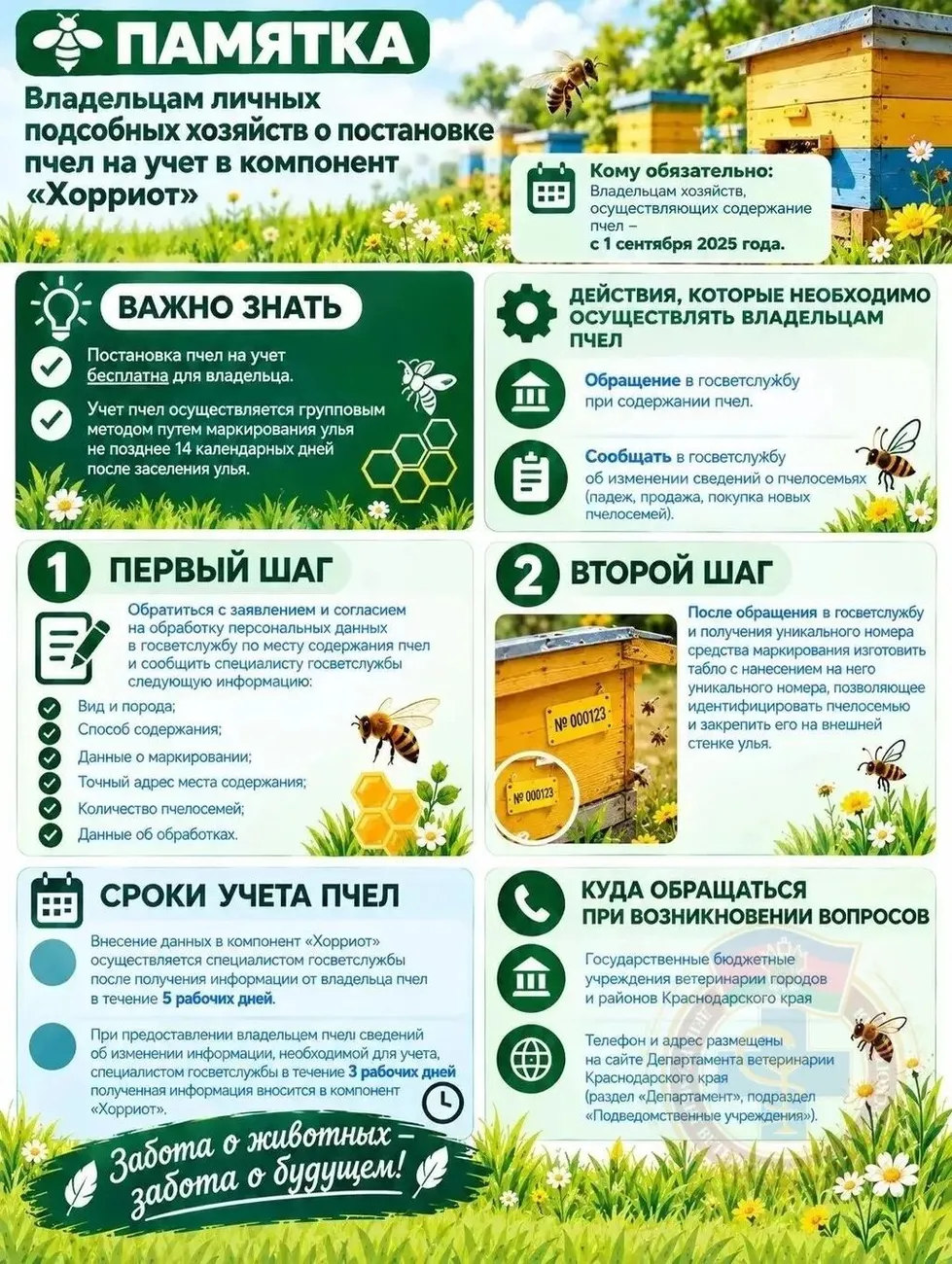 Пчелы