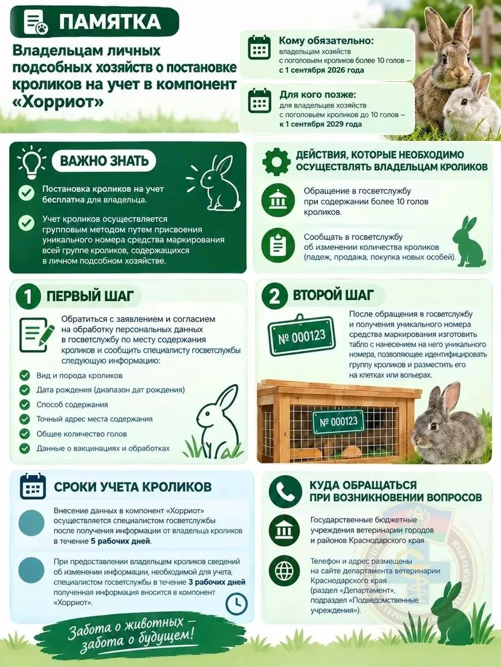 Кролики